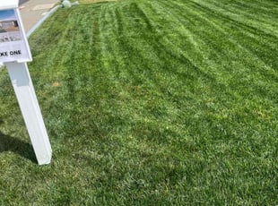 Zach W.'s yard maintenance service result