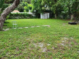 Muad H.'s lawn service service result