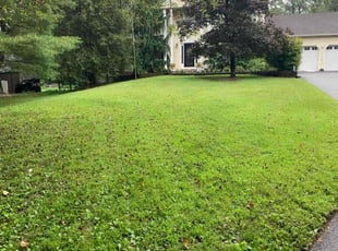 Sarah D.'s turf maintenance service result