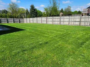 Jill B.'s grass maintenance service result