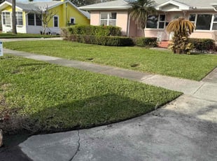 Adam W.'s lawn maintenance service result