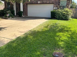 Rogers O.'s grass maintenance service result