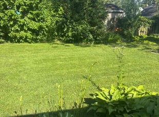 Jeff M.'s lawn care service result