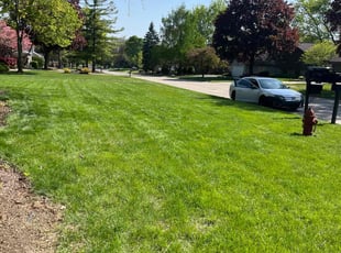 Roxie T.'s lawn service service result