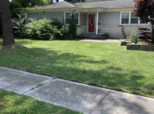 Deb S.'s lawn care service result