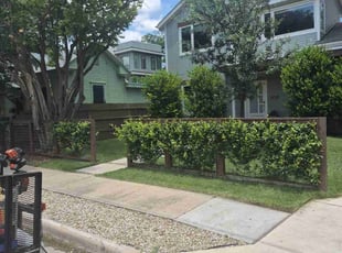 Patrick W.'s turf maintenance service result