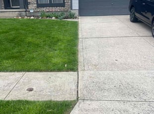 Rob W.'s lawn maintenance service result