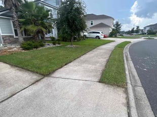 Susan C.'s Cleanups service result