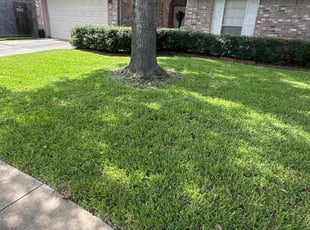 Ron V.'s grass cutting service result