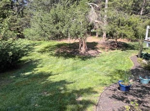 Olga B.'s lawn maintenance service result