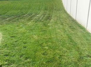 Josh M.'s grass cutting service result