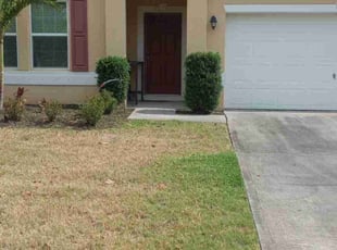 Mariel M.'s Bush Trimming service result