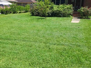 Chris S.'s lawn maintenance service result