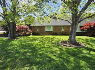 Shane B.'s grass maintenance service result