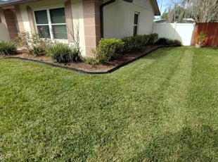 Debra P.'s lawn maintenance service result