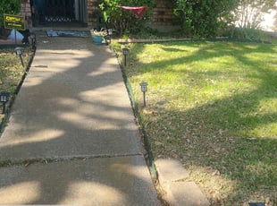 Dawnmarie A.'s Bush Trimming service result