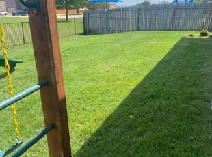 Tom B.'s lawn care services service result
