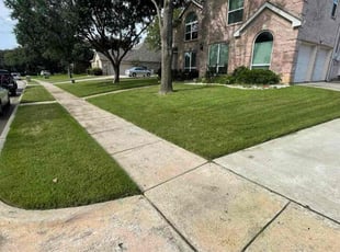 Michael S.'s lawn service service result