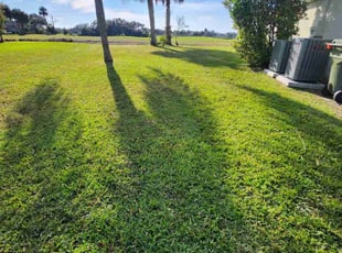 Jean C.'s lawn maintenance service result