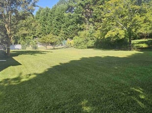 Stephanie B.'s lawn maintenance service result