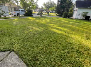 Richard R.'s lawn service service result