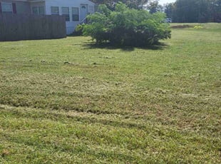 Tahkea G.'s lawn service service result
