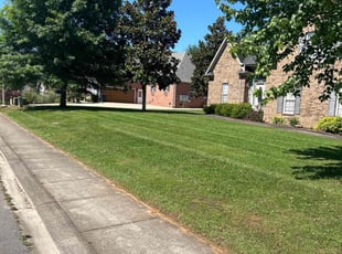 Shawntia E.'s landscaping services service result