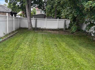 Star C.'s lawn care services service result