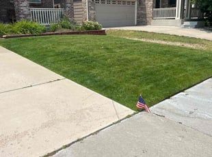 Brittney J.'s lawn care service result