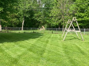 Eileen D.'s turf care service result