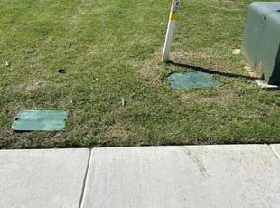 Tonia I.'s lawn service service result
