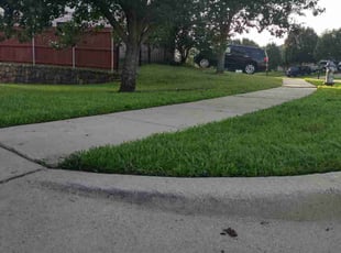 Damaris P.'s turf maintenance service result