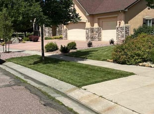 Adam S.'s landscaping services service result