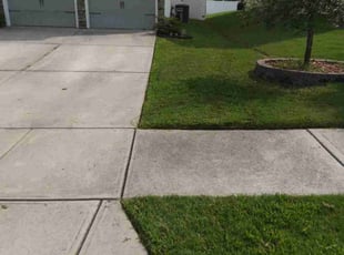 Randy F.'s grass maintenance service result