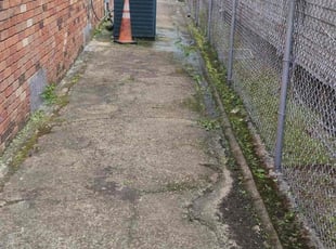 Kristia M.'s grass cutting service result