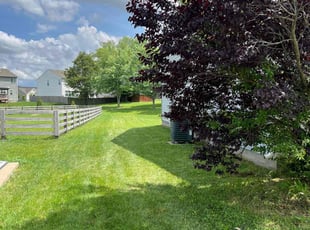 Uihyun G.'s turf care service result