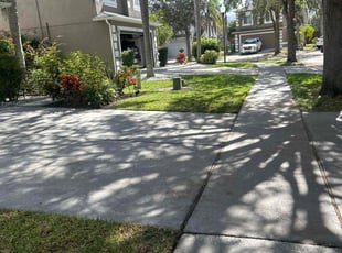 Sally B.'s lawn maintenance service result