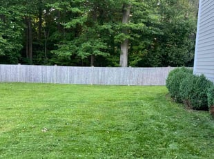 Tama L.'s lawn service service result