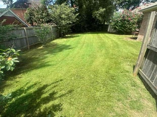 Arlene B.'s lawn care service result