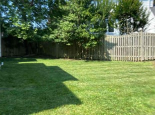 Bernice W.'s grass cutting service result