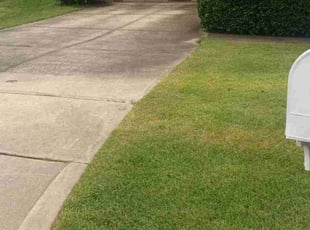 Neel L.'s lawn maintenance service result
