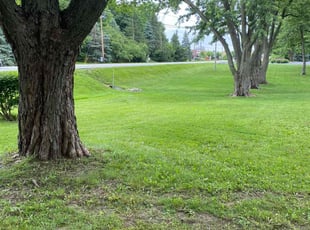 Karen H.'s lawn care service result