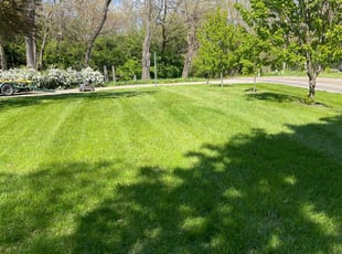 Joslyn R.'s lawn service service result