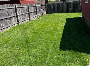 patrick p.'s grass maintenance service result