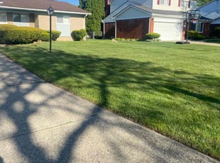 Elliott H.'s lawn service service result