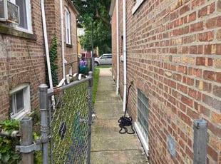 Heather H.'s turf care service result