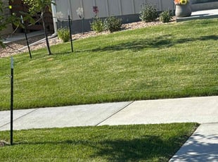 Anumeha K.'s lawn service service result