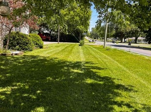 Richard R.'s lawn care service result