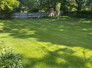 Cierra N.'s grass cutting service result