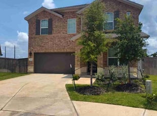 Kolawole A.'s turf care service result